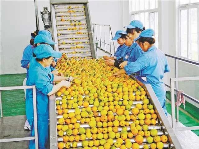 重庆日报乡村振兴周刊:重庆农产品加工业如何走上“快车道”